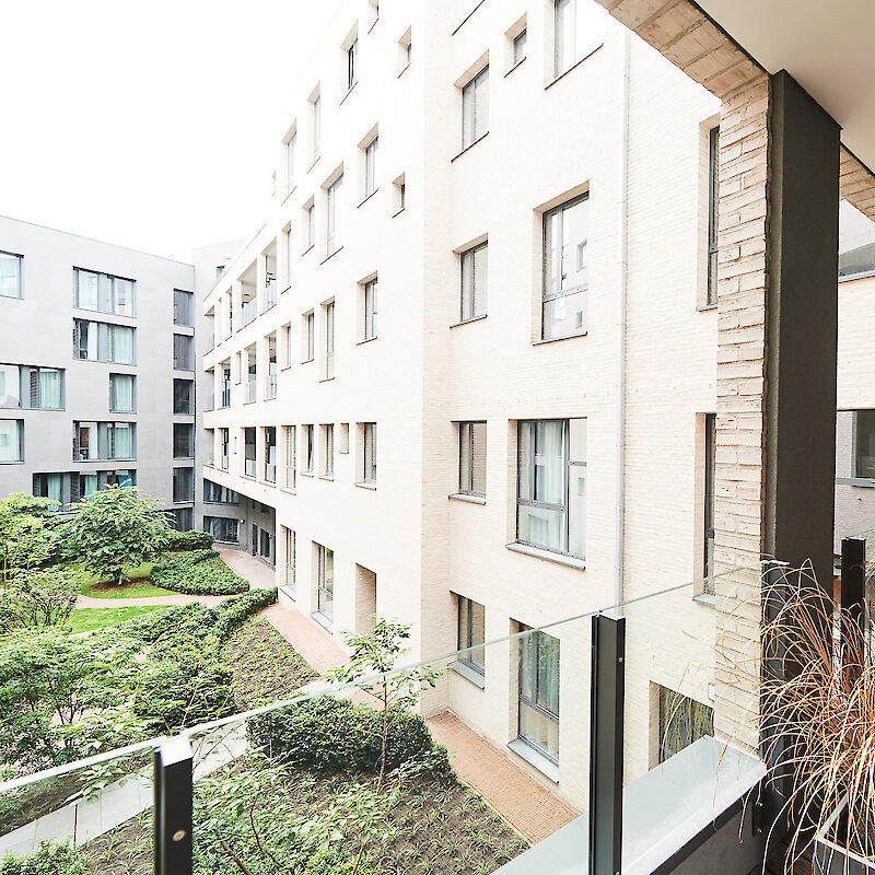 Ernest The Garden & The Park